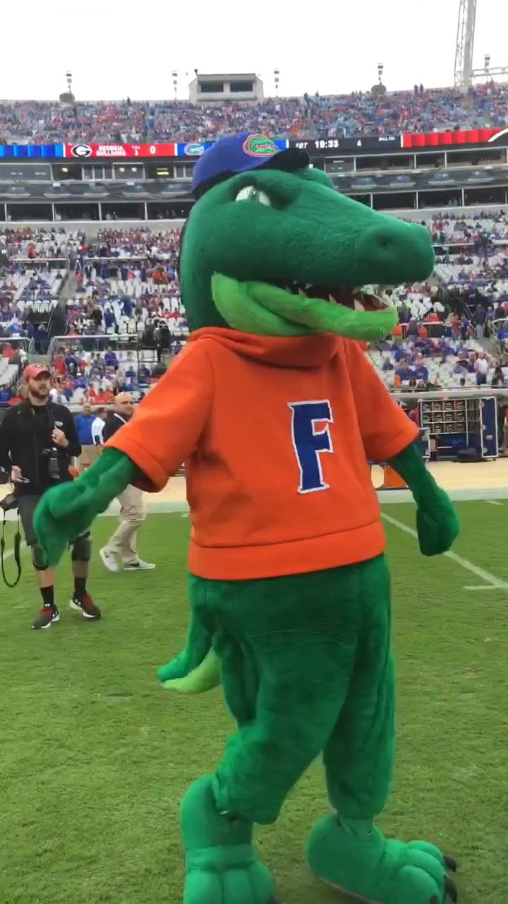 Video post by @floridagators on TikTok