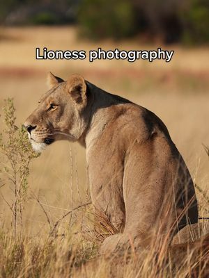 Video post by @madebymap on TikTok