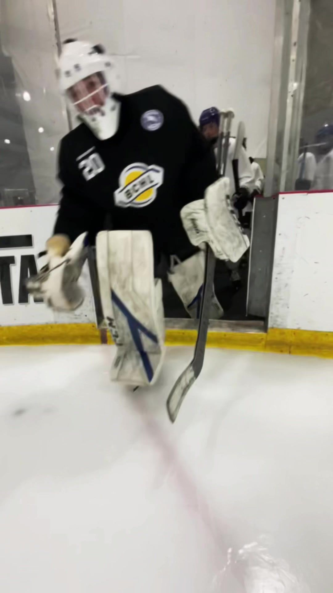 Video post by @whlwild_ on TikTok