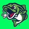 Gwinnett Stripers