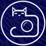 David Gato (David 'DeKat' Hevia) 🐱