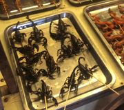 Would you eat a tarantula? 😳               #bug #snack #tarantula #travel #cambodia #foodchallenge