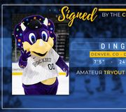 The rumors are true. We have signed Dinger to an ATO. Let's see what he's got!

#EaglesCountry | @Rockies https://t.co/9txxJL5IK1