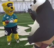 our intern told us kung fu panda is in right now #kungfupanda #gritty #DUUUVAL @jaxsondeville 🐆