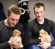 Pup-alanche 😍

(📸: @coloradoavalanche)