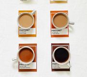Which tea are you? 🫖

We'll go first — if it's not Brown Sugar or Leather Brown, we will be sending it back. 

#TeaLover #TeaAddict #ServingTheTea