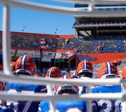 POV: You play for @GatorsFB and are warming up to take on the Tigers at #TheSwamp 🏈 #gogators