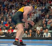 A well-deserved moment. 👏 mason_parris #NCAAWrestling #GoBlue 🎥: dparisc
