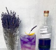 I mean 😍💜 This lavender lemonade cocktail recipe will be on the blog tonight! #lavender #lavenderlemonade #gincocktail #empressgin #foodblogger #foodblog #foodinspiration #cocktailsofinstagram #cocktailsandmixology #prettycocktails