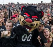 Who is behind the iconic suit? 🐾
🤫 Shhh… it’s a secret!

You’ve seen his memorable antics at Nippert Stadium, but did you know the Bearcat makes 500 appearances annually? He has skied down a snowy hill and parachuted from a glider. He’s given his blessing for marriage proposals and celebrated at Bearcat weddings. 

But being the Bearcat mascot isn’t easy. And your identity must remain a secret.

Chris Helmers donned the suit for three years, and now serves as the UC Bearcat mascot coach. 

“When you were little, you were always excited for Santa Claus, the Easter Bunny and the tooth fairy. Well, we want that same excitement with Bearcat. I want these kids to think of Bearcat as their superhero,” says Helmers. “I met the Bearcat and this is the greatest day of my life.”

Get a glimpse behind our iconic mascot and what it takes to wear the suit.
🔗 Story at the link in our bio.