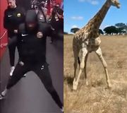Who did it better? 😅

(via @dannydutch, h/t deen8/TW)