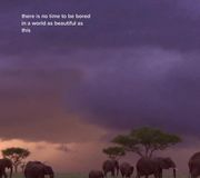more sunsets I cried at #filmmaker #wildlifephotography #tanzania #safari