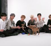 proof that the #StrayKids puppy interview exists https://t.co/EtAuBzihea