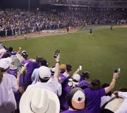 POV: you’re in the student section watching the Tigers punch their ticket to Omaha