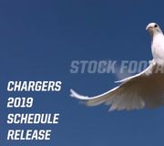 Should we REALLY make our schedule release video with stock footage?

yes          yes          yesyes
yesyes    yes      yes         yes
yes  yes  yes     yes           yes
yes    yesyes     yes           yes
yes      yesye      yes        yes
yes          yes           yesyes https://t.co/wAB8CdAfnB