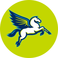 Dallas Wings