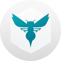 Charlotte Hornets