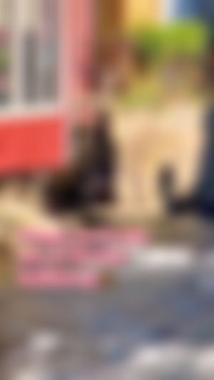 Video post by @officialolered on TikTok