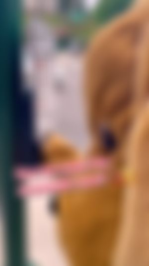 Video post by @officialolered on TikTok
