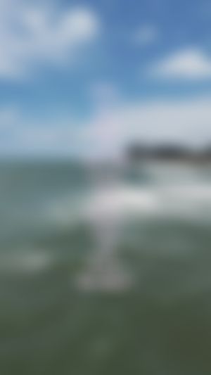 Video post by @alessiroseclub on TikTok