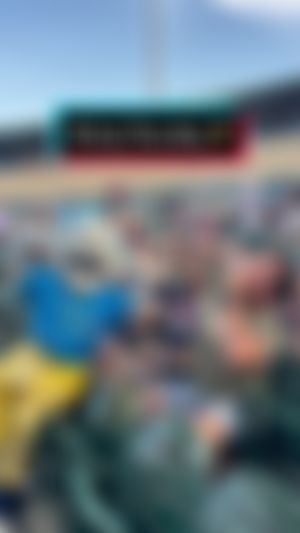 Video post by @gohammerheads on TikTok