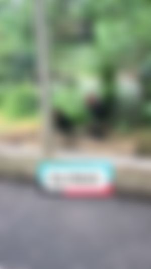 Video post by @ohhsnapcoco on TikTok
