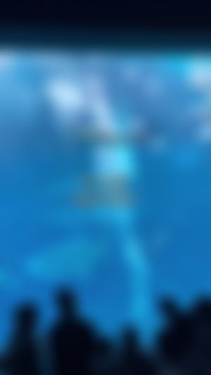 Video post by @ohhsnapcoco on TikTok