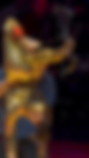 Video post by @TheSuperMascot on Twitter