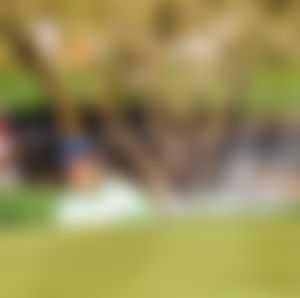 Image post by @ariannagrainey on Instagram