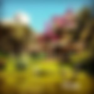Image post by @joshlanzet on Instagram