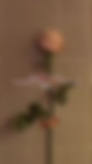 Video post by @alessiroseclub on TikTok