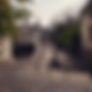 Image post by @joshlanzet on Instagram