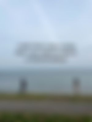 Video post by @alessiroseclub on TikTok