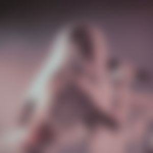 Video post by @alessiroseclub on TikTok