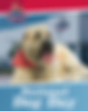 Video post by @goettlacplumbing on TikTok