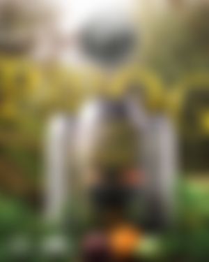 Image post by @CLBrewingCo on Twitter