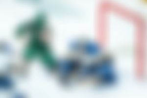 Image post by @mnwildPR on Twitter