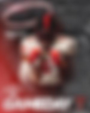Image post by @Beau_Davidson on Twitter