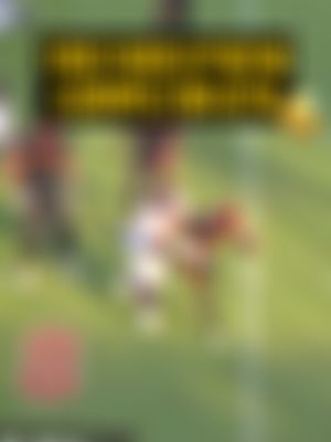 Image post by @UFLGamblers on Twitter