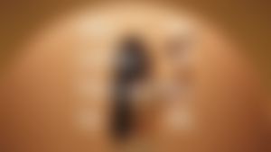 Video post by @alessiroseclub on TikTok