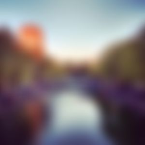 Image post by @joshlanzet on Instagram