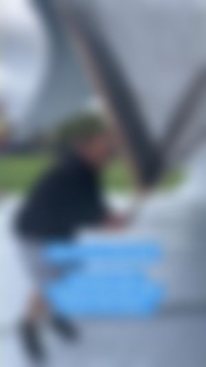 Video post by @gohammerheads on TikTok