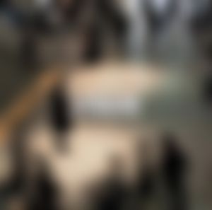 Video post by @alessiroseclub on TikTok