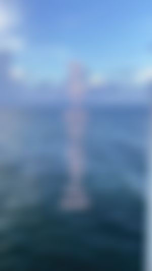 Video post by @alessiroseclub on TikTok