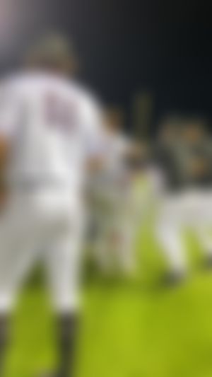 Video post by @gohammerheads on TikTok
