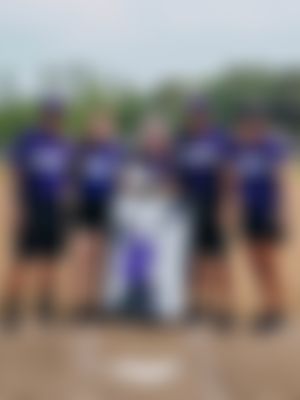 Image post by @sfa.softball on Instagram