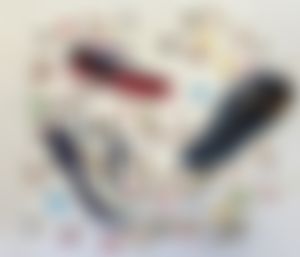 Image post by @C9Multisport on Twitter