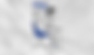 Image post by @iawolves on Twitter