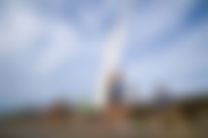 Image post by @Shelly_Doge on Twitter