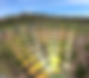 Image post by @freeze_your_flight on Instagram